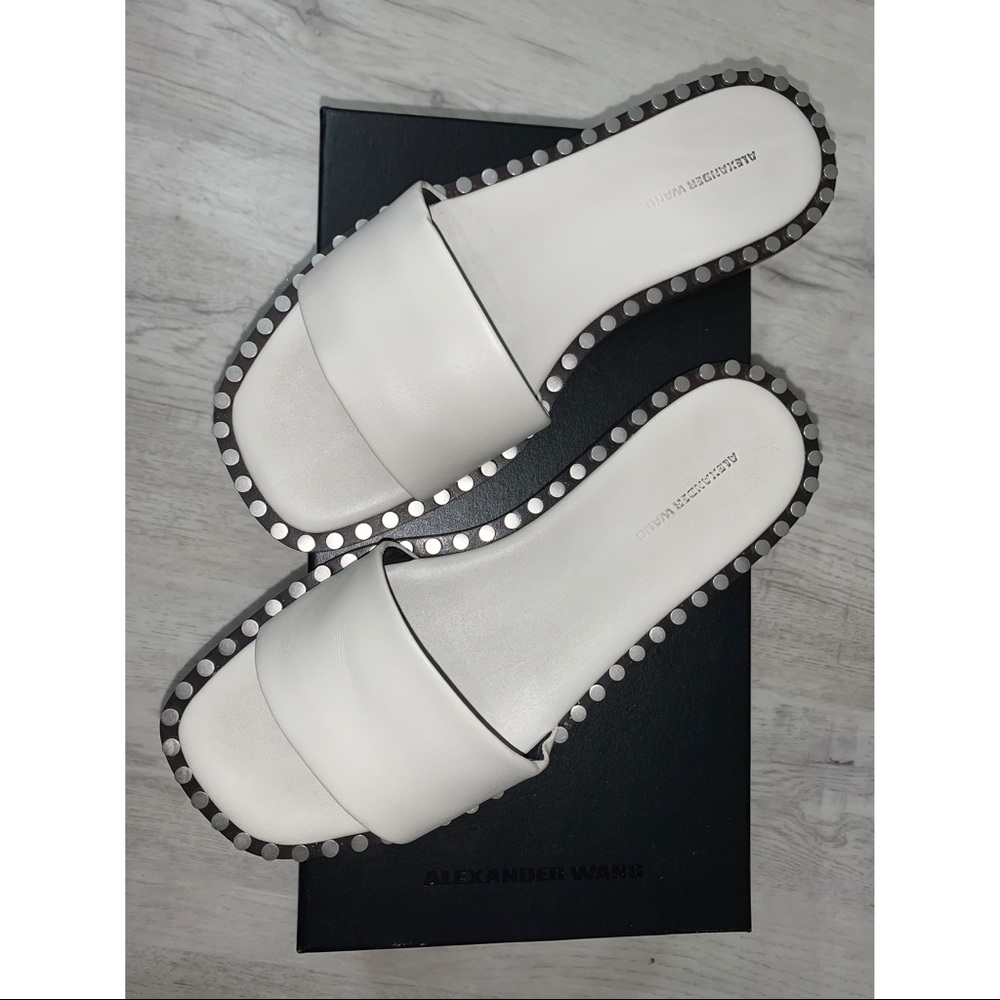Alexander Wang Slides